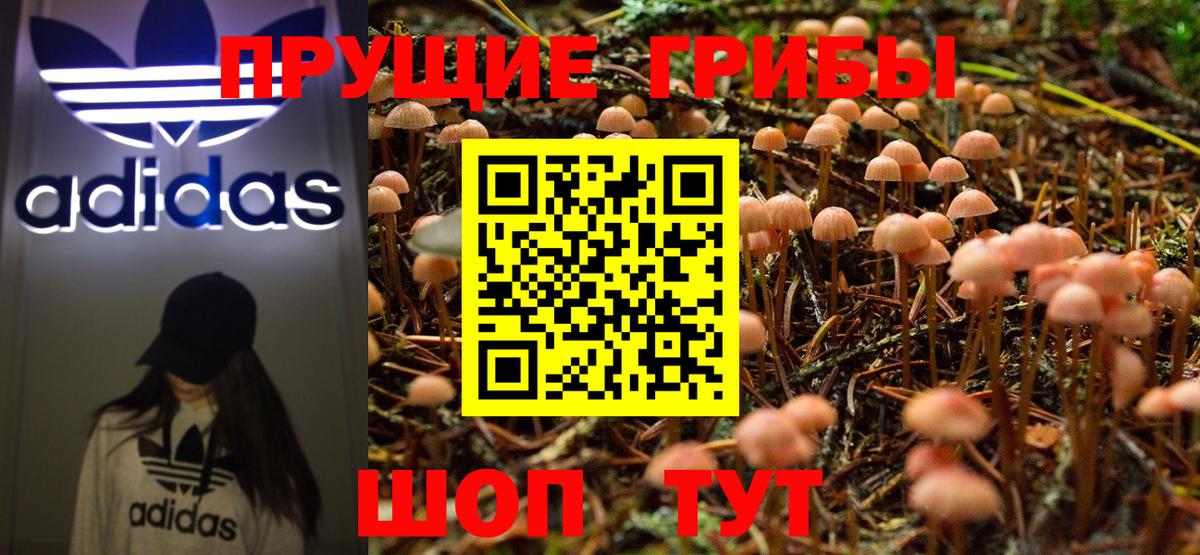 Галлюциногенные грибы GOLDEN TEACHER Кизляр